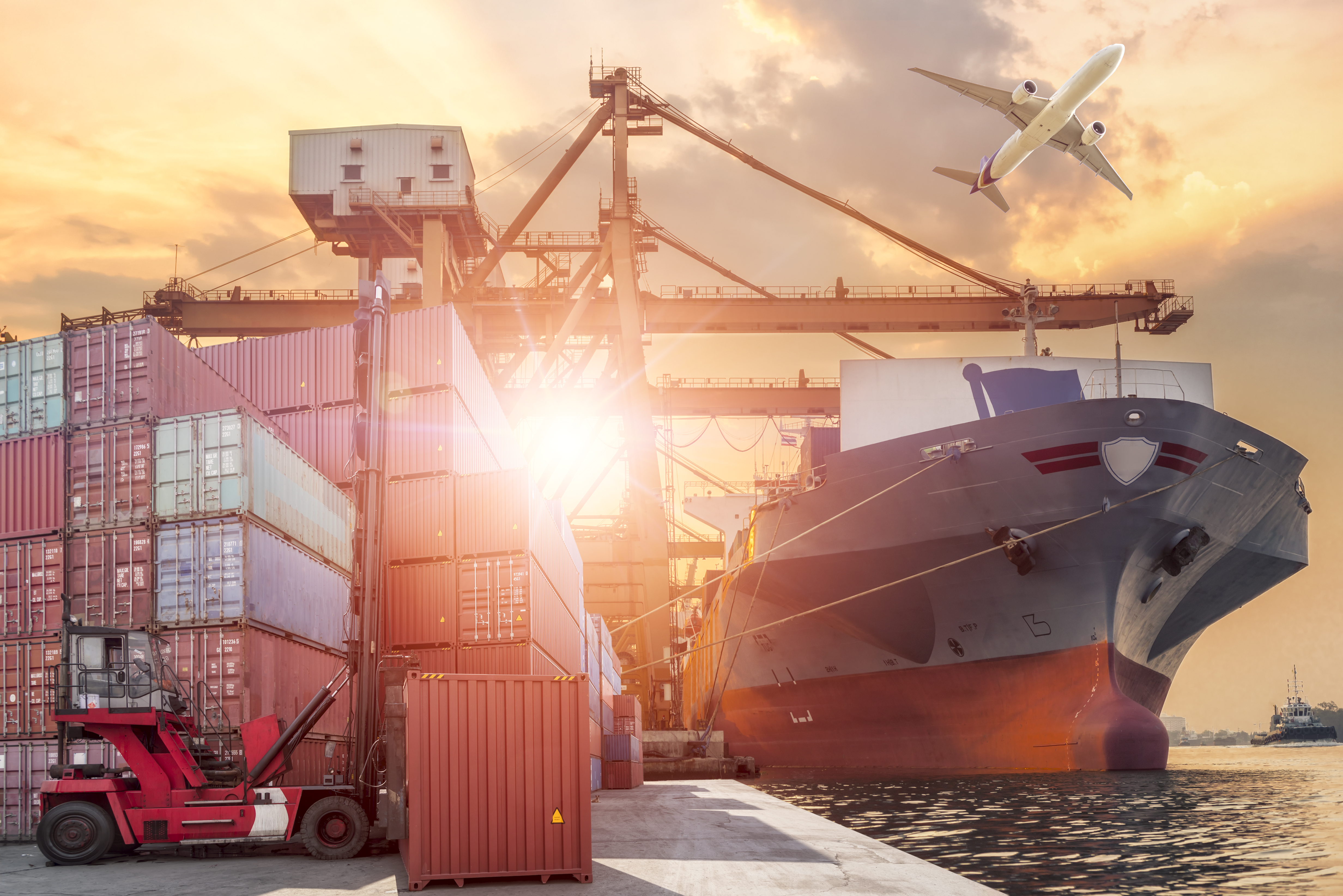 Morgan Lewis Partners Re-Appointed to Export Councils